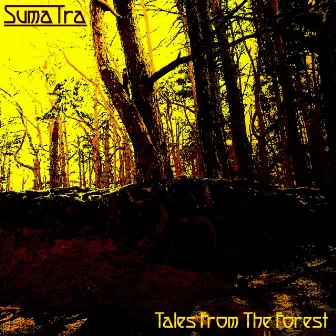 Tales From The Forest by Sumatra