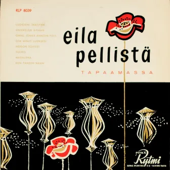 Eila Pellistä tapaamassa by Eila Pellinen