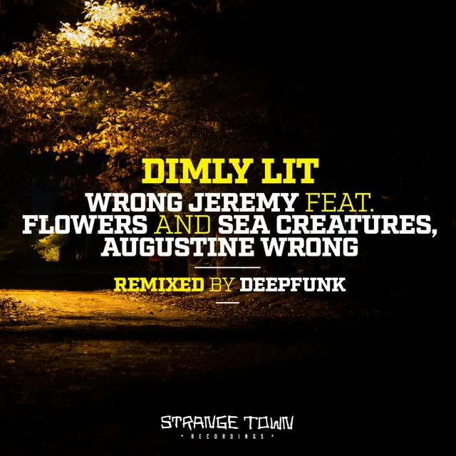 Dimly Lit feat. Flowers And Sea Creatures feat. Augustine Wrong - Deepfunk Remix