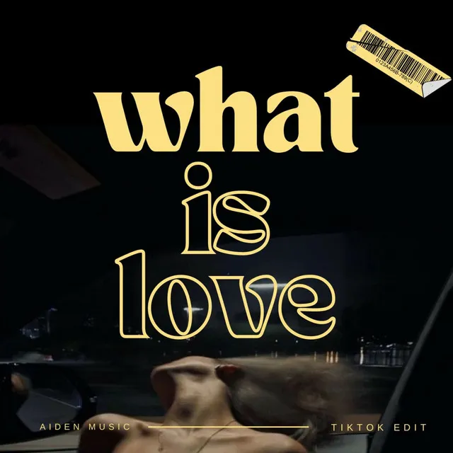 What Is Love - Techno TikTok Remix