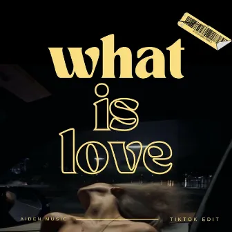 What Is Love (Techno TikTok Remix) by Aiden Music