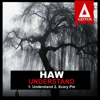 Understand by HAW