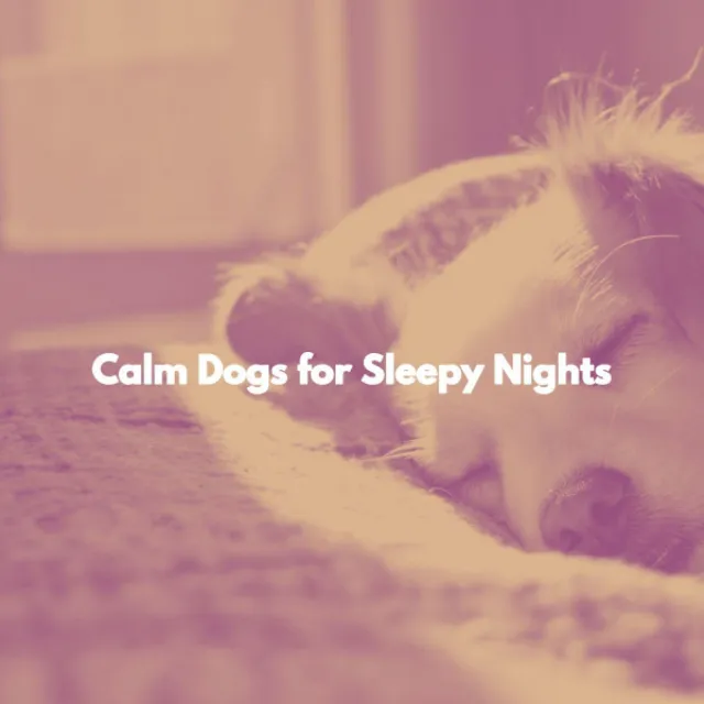 Calm Dogs for Sleepy Nights