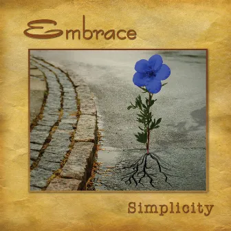 Embrace Simplicity by Fiðrildi