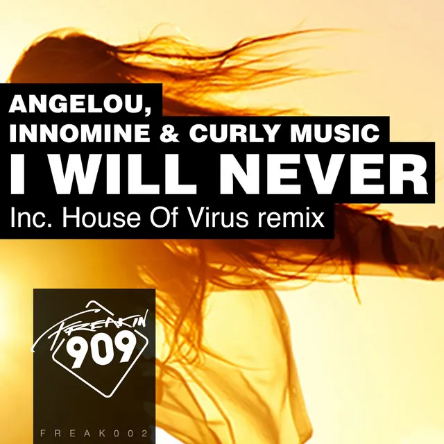 I Will Never - House Of Virus Remix