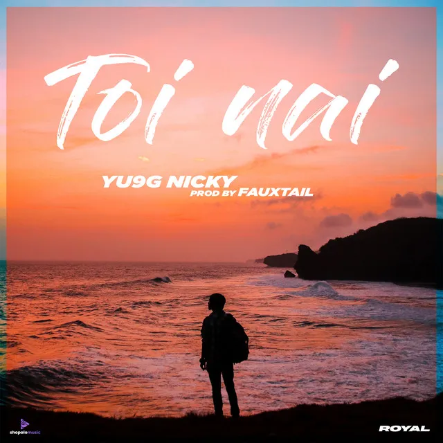 Toi Nai