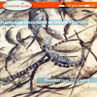 Tammittam Ensemble: Piano and Percussion in the 20th Century by Guido Facchin