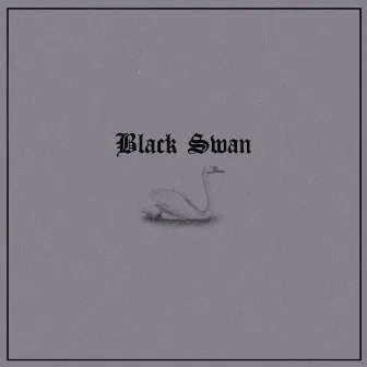 Black Swan (Violin) by Dramatic Violin