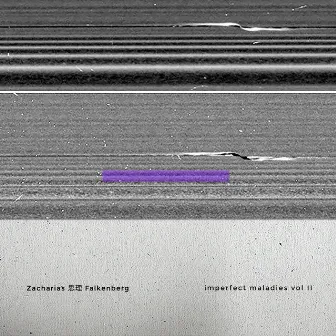 Imperfect Maladies Vol. II by Zacharias S. Falkenberg