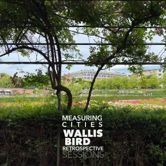 Measuring Cities (Retrospective Sessions) by Wallis Bird