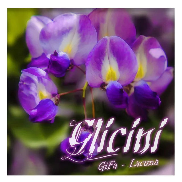 Glicini