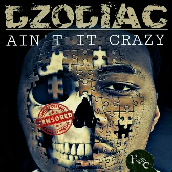 Ain't It Crazy by Dzodiac