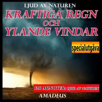 Kraftiga regn och ylande vindar: ljud av naturen: specialutgåva by Amadeus