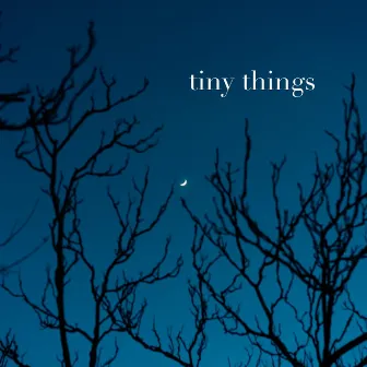 Tiny Things by Christian Eckert