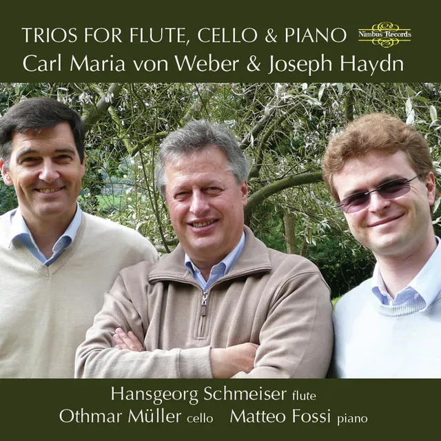 Piano Trio in D Major, Hob.XV:16: I. Allegro