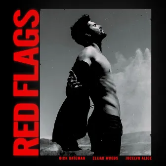 Red Flags by Nick Bateman