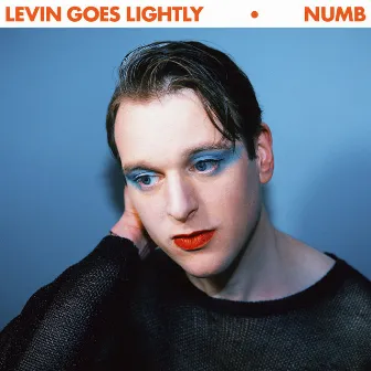 Numb by Levin Goes Lightly