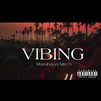 Vibing by Marshaun Mitch