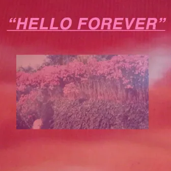 HELLO FOREVER by Earth Dad