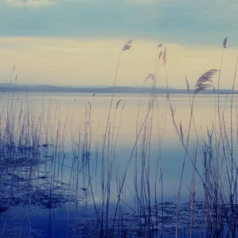 Streamside Serenity: ASMR Waterscapes by Humming Waves