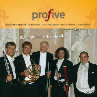 Bläserquintette der Klassik by ProFive - Die süddeutschen Bläsersolisten