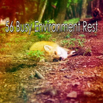 56 Busy Environment Rest by Sleepy Sounds