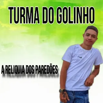 A Reliquia dos Paredões by Turma do golinho