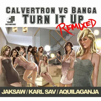 Turn It Up Remixes by Banga