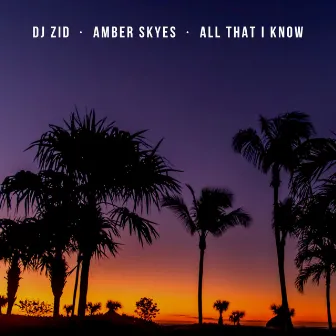 All That I Know by Amber Skyes