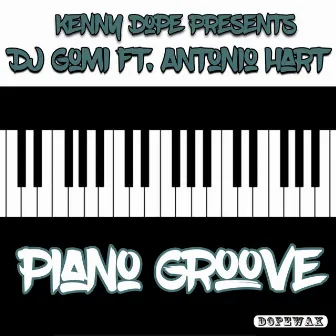 Piano Groove by DJ Gomi