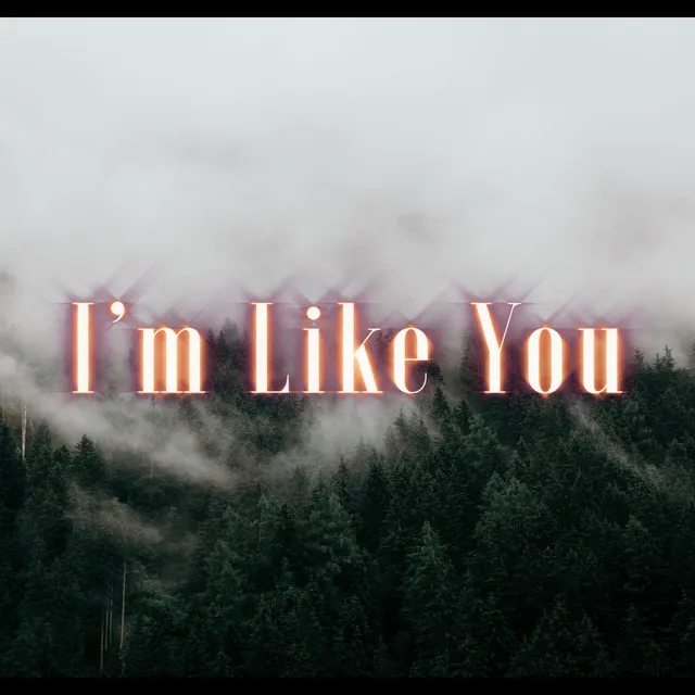 I'm like you