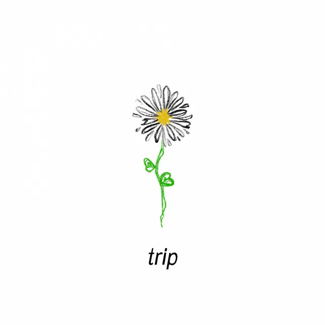 Trip