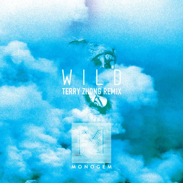 Wild (Terry Zhong Remix)