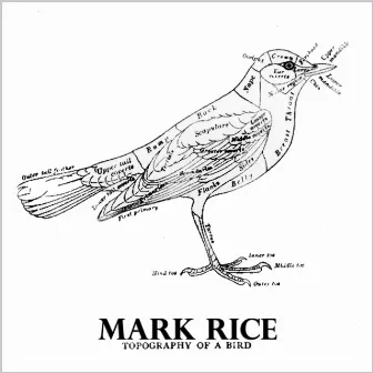 Topography Of A Bird by Mark Rice