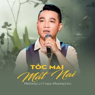 Tóc Mai Mắt Nai by 