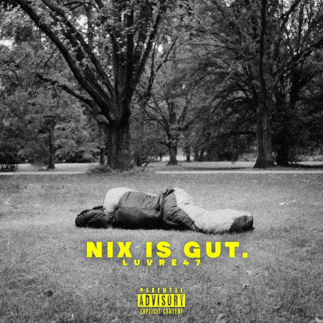 NIX IS GUT - EP