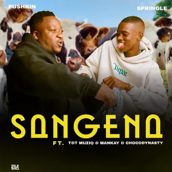 Sangena (feat. Mankay & Choco Dynasty, T&T Muziq) by Springle