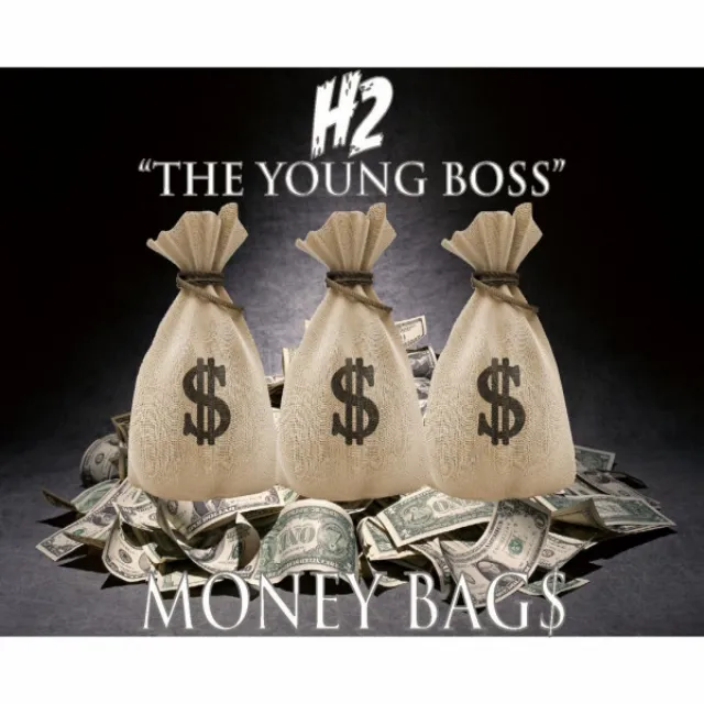 Money Bags