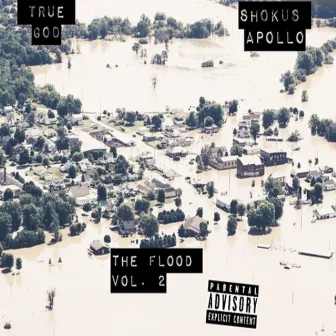 The Flood, Vol. 2 by Shokus Apollo