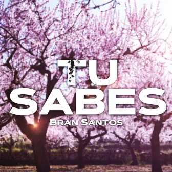 Tu Sabes by Bran Santos