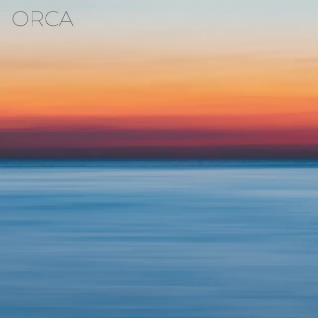 Orca