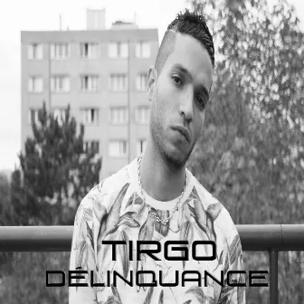 Délinquance by Tirgo