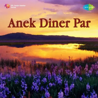 Anek Diner Par by Banani Ghosh