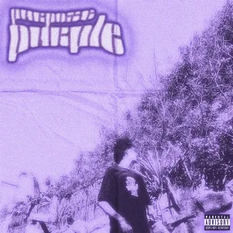 PURPOSE PURPLE by Hev.