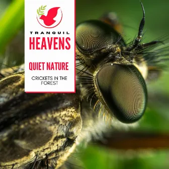 Quiet Nature - Crickets in the Forest by Cosmic Nature Sounds