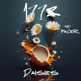 Daisies by Pacer