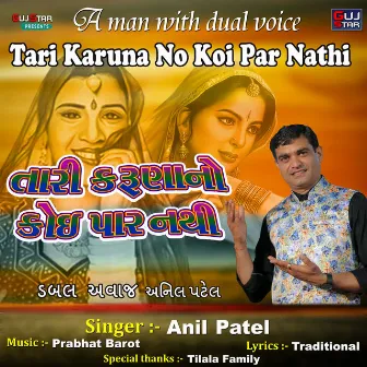 Tari Karuna No Koi Par Nathi by Anil Patel