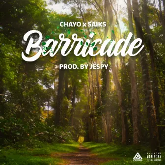 Barricade by Chayo