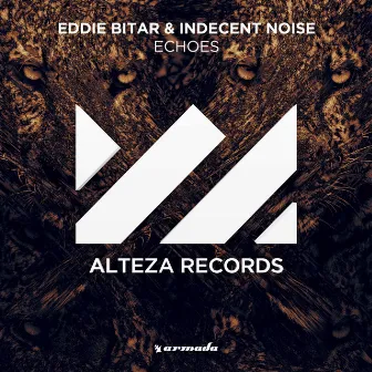 Echoes by Indecent Noise