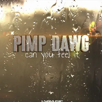 Can You Feel It by Pimp Dawg